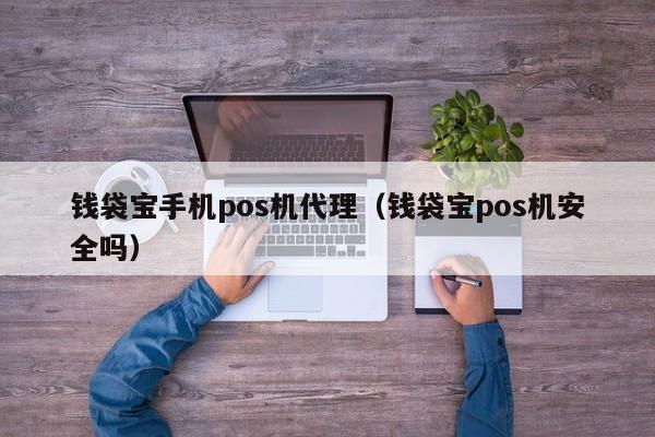 钱袋宝手机pos机代理（钱袋宝pos机安全吗）