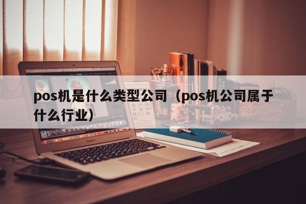 pos机是什么类型公司（pos机公司属于什么行业）