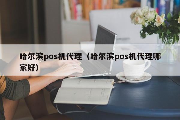 哈尔滨pos机代理（哈尔滨pos机代理哪家好）