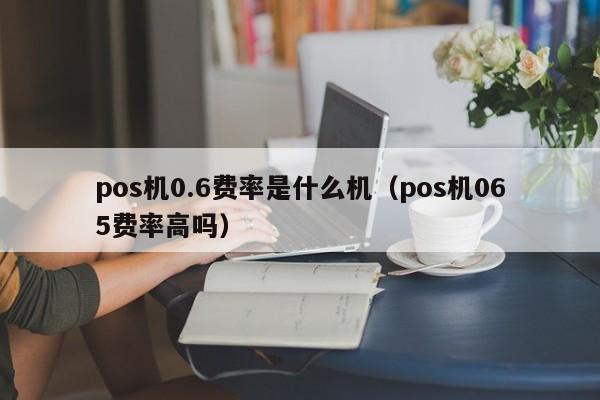 pos机0.6费率是什么机（pos机065费率高吗）