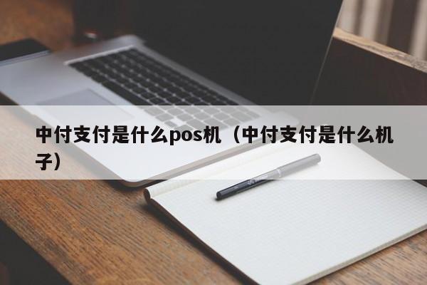中付支付是什么pos机（中付支付是什么机子）