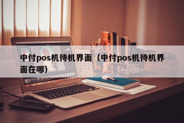 中付pos机待机界面（中付pos机待机界面在哪）