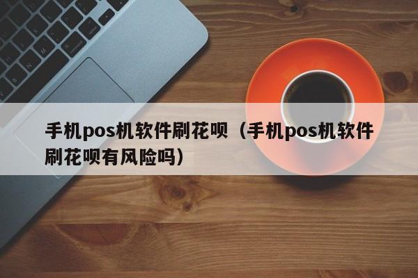 手机pos机软件刷花呗（手机pos机软件刷花呗有风险吗）
