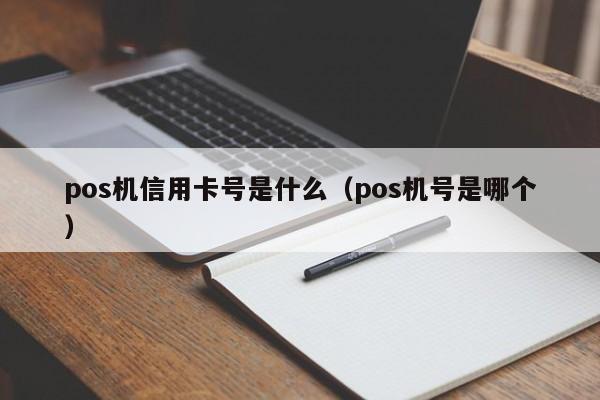 pos机信用卡号是什么（pos机号是哪个）