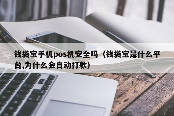 钱袋宝手机pos机安全吗（钱袋宝是什么平台,为什么会自动打款）