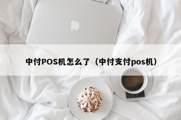 中付POS机怎么了（中付支付pos机）