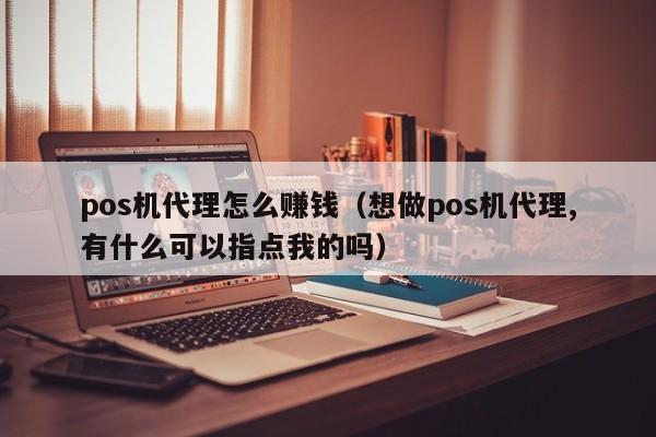 pos机代理怎么赚钱（想做pos机代理,有什么可以指点我的吗）