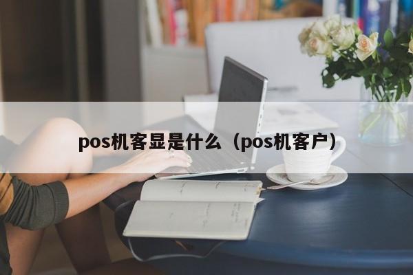 pos机客显是什么（pos机客户）