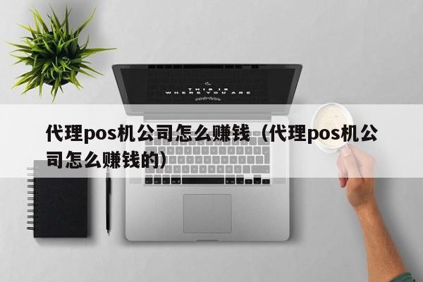 代理pos机公司怎么赚钱（代理pos机公司怎么赚钱的）