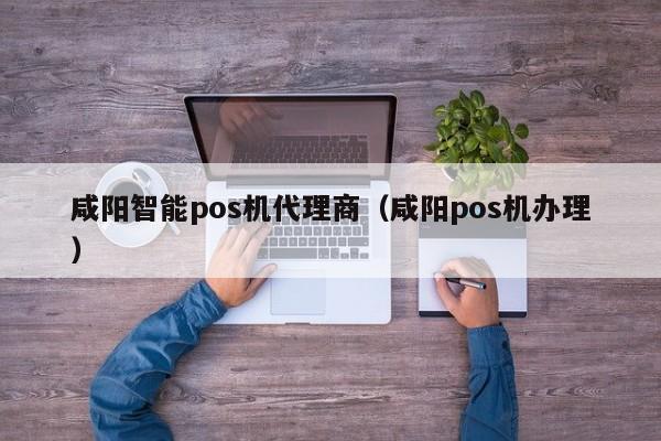 咸阳智能pos机代理商（咸阳pos机办理）