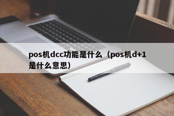 pos机dcc功能是什么（pos机d+1是什么意思）