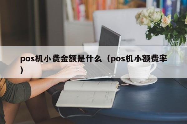 pos机小费金额是什么（pos机小额费率）