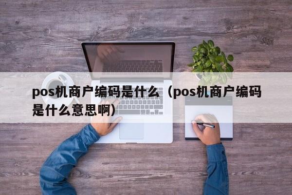 pos机商户编码是什么（pos机商户编码是什么意思啊）