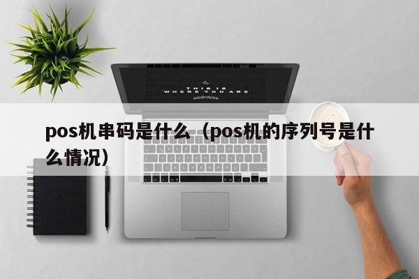 pos机串码是什么（pos机的序列号是什么情况）