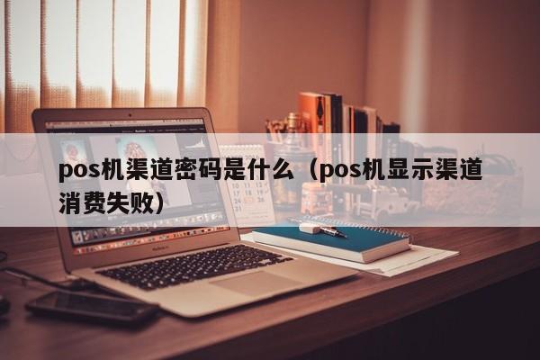 pos机渠道密码是什么（pos机显示渠道消费失败）