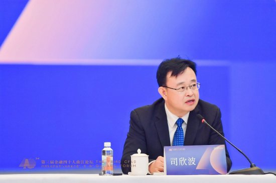 司欣波：推进“一带一路”对外投融资 坚持“惠民生”“小而美”投资方向